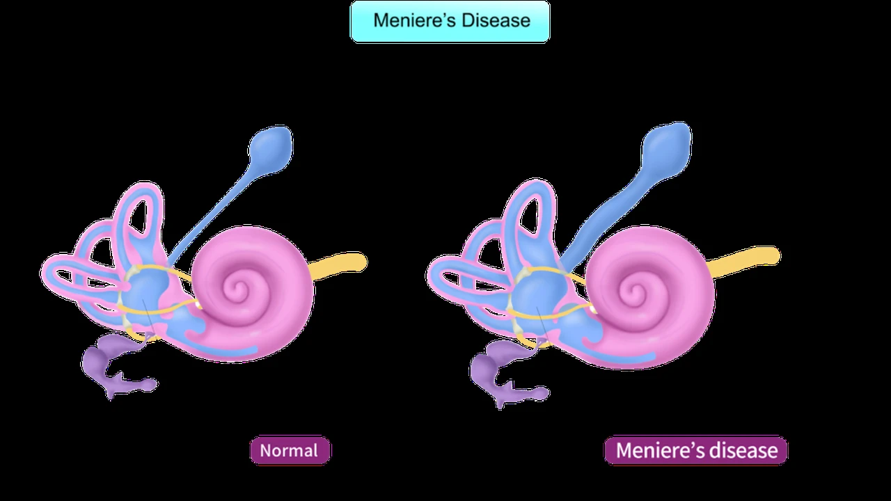 Chef John's Irish Soda Bread