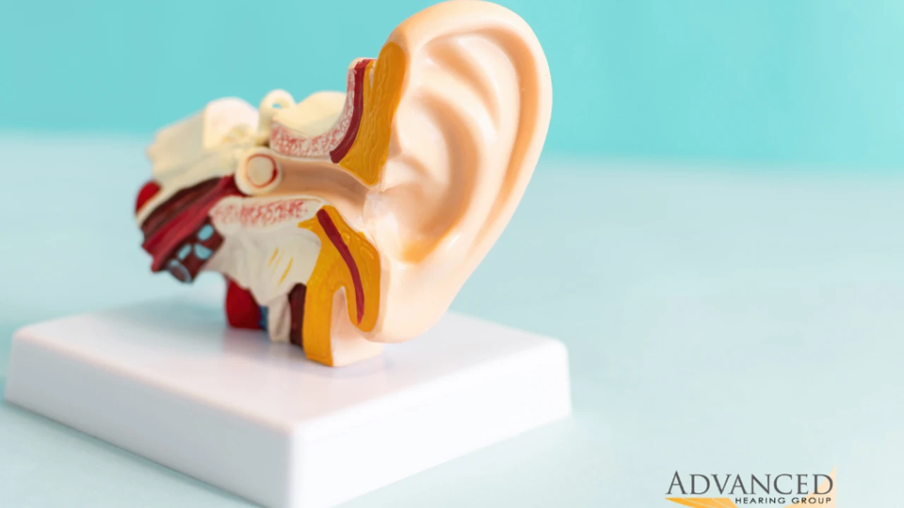 Close up on a plate of mashed potatoes, topped with baked pork chops with cream of mushroom soup, and a side of green beans.